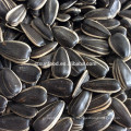 sunflower seed ton price sunflower seeds market price cheap sunflower seeds